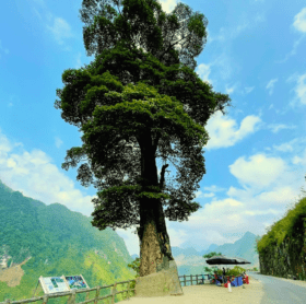 Tour miền Bắc 4 ngày 3 đêm
