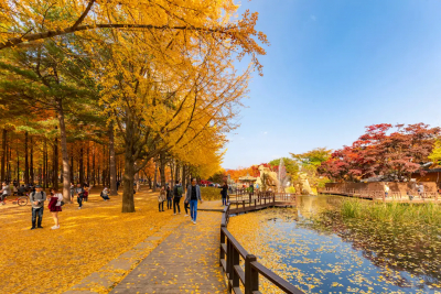Tour Hàn Quốc mùa thu từ Đà Nẵng 5N4D