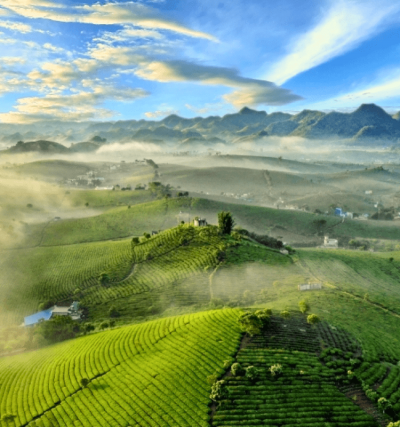 Tour Hà Nội Mộc Châu Mai Châu 3 ngày 2 đêm