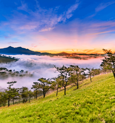 Tour Đà Nẵng Đà Lạt 4 ngày 3 đêm
