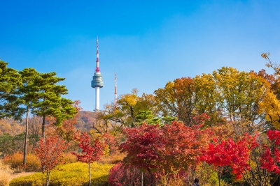 Tour Hàn Quốc mùa thu SEOUL Nami Everland 5N4D từ Đà Nẵng