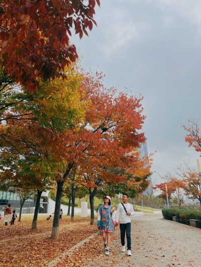 Tour Hàn Quốc mùa thu SEOUL Nami Everland 5N4D từ Đà Nẵng
