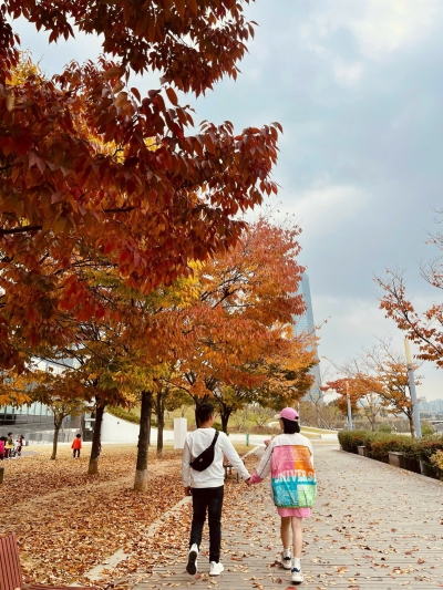 Tour Hàn Quốc mùa thu SEOUL Nami Everland 5N4D từ Đà Nẵng