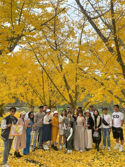 Tour Hàn Quốc mùa thu SEOUL Nami Everland 5N4D từ Đà Nẵng