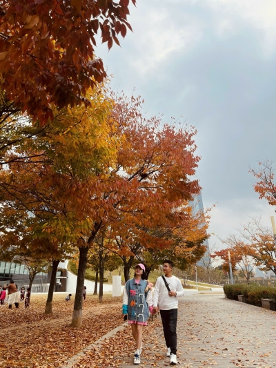 Tour Hàn Quốc mùa thu SEOUL Nami Everland 5N4D từ Đà Nẵng