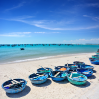 Vi Nhân Kiệt Travel